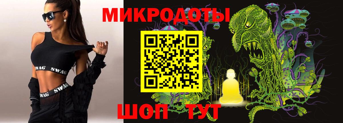Псилоцибиновые грибы Cubensis Воркута